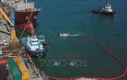 Khởi công nâng cấp luồng hàng hải vào các bến cảng Nam Nghi Sơn trong quý I