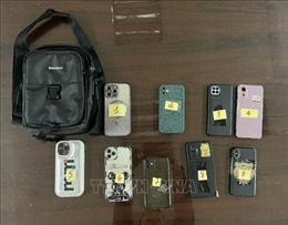 Bắt đối tượng trộm cắp 9 chiếc điện thoại ở chùa Trấn Quốc và phủ Tây Hồ
