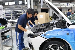 18.078 xe Hyundai tại Việt Nam cần khắc phục lỗi dây đai an toàn
