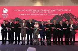 Việt Nam tham dự Hội nghị Bộ trưởng Kinh tế ASEAN hẹp lần thứ 29