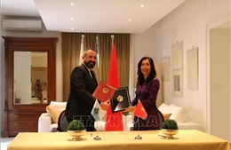 Việt Nam và San Marino thúc đẩy quan hệ hữu nghị