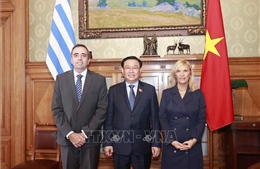 Chủ tịch Quốc hội Vương Đình Huệ hội đàm với Chủ tịch Thượng viện và Hạ viện Uruguay