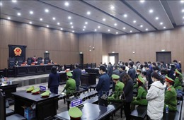 Sáng mai (22/5), xét xử phúc thẩm cựu Chủ tịch Công ty AIC Nguyễn Thị Thanh Nhàn