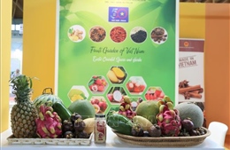 Cơ hội quảng bá tiềm năng rau quả và gia vị Việt Nam tại Hội chợ quốc tế Macfrut 2023