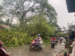 Mưa to kèm dông lốc gây nhiều thiệt hại tại Tuyên Quang