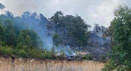 Cháy rừng ở Quảng Ninh khiến 2 người tử vong