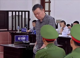 Nguyên Trưởng Ban Tuyên giáo Tỉnh ủy Hòa Bình lĩnh án 4,5 năm tù