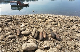 Phát hiện nhiều vật liệu nổ tồn sót ở hạ lưu sông Đà