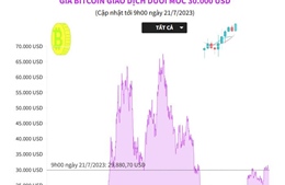 Giá Bitcoin giao dịch dưới mốc 30.000 USD
