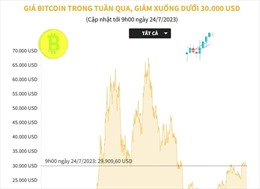Giá Bitcoin tuần qua giảm xuống dưới 30.000 USD