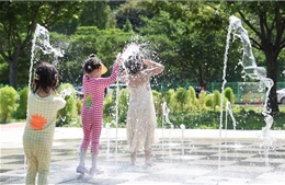 Số ca tử vong vì nắng nóng tại Hàn Quốc tăng mạnh