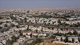 Palestine phản đối Israel hợp pháp hóa 155 tiền đồn định cư tại khu Bờ Tây