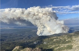 Canada: Ban bố tình trạng khẩn cấp do cháy rừng tại Yellowknife