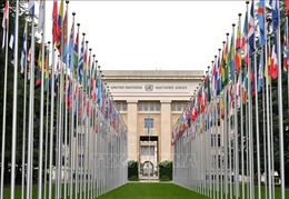 LHQ mở lại trụ sở tại Geneva sau sự cố an ninh
