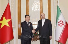 ​Chủ tịch Quốc hội Vương Đình Huệ hội đàm với Chủ tịch Quốc hội Iran 