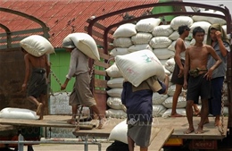 Myanmar tăng cường xuất khẩu gạo