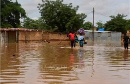 Lũ lụt tại Niger làm 27 người thiệt mạng