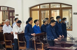 Chủ dự án Khu dân cư thương mại Phước Thái bị tuyên phạt 14 năm tù