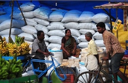 Ấn Độ áp đặt thuế xuất khẩu 20% đối với gạo đồ