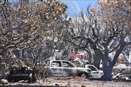 Thảm họa cháy rừng ở Hawaii: 385 người vẫn mất tích