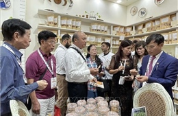 Gần 50 doanh nghiệp Việt Nam tham dự chương trình xúc tiến thương mại tại Ấn Độ