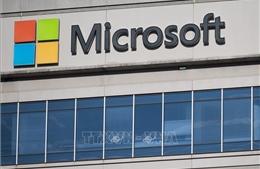 Rà soát, xử lý lỗ hổng an toàn thông tin trong các sản phẩm của Microsoft