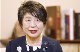 Nhật Bản thúc đẩy quan hệ an ninh, kinh tế với ASEAN
