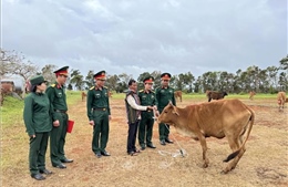 Tặng trâu, bò giống cho hộ nghèo ở Đắk Nông