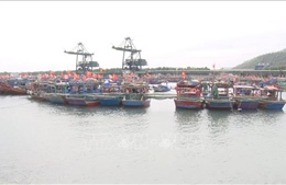 Khám xét chỗ ở người cầm đầu lôi kéo, phản đối xây dựng bến cảng Long Sơn
