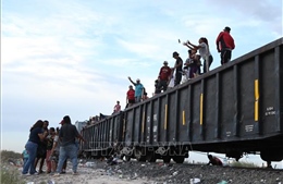 Khoảng 1.800 người di cư bị mắc kẹt ở vùng sa mạc phía Bắc Mexico