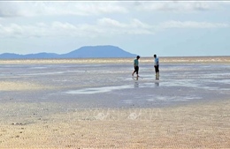 Kỳ thú cồn cát ngoài khơi Mũi Cà Mau