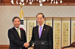 Trưởng Ban Kinh tế Trung ương Trần Tuấn Anh thăm, làm việc tại Hàn Quốc