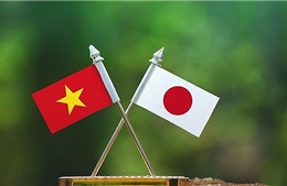 Chuyên gia Nhật Bản lạc quan về triển vọng quan hệ Việt - Nhật
