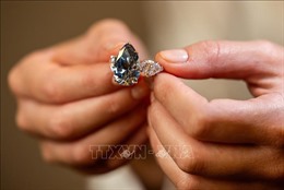 Viên kim cương quý hiếm &#39;Bleu Royal&#39; có thể được bán với giá 50 triệu USD