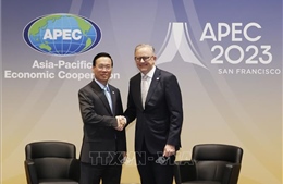 Chủ tịch nước Võ Văn Thưởng tiếp Thủ tướng Australia nhân dịp dự Tuần lễ Cấp cao APEC 2023