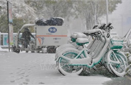 Bão tuyết tại Trung Quốc khiến hàng chục chuyến bay phải hủy và trường học đóng cửa