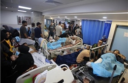 Italy và Indonesia điều tàu bệnh viện đến Gaza