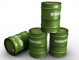 EU điều tra cáo buộc bán phá giá dầu diesel sinh học nhập khẩu từ Trung Quốc
