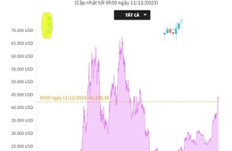 Giá Bitcoin điều chỉnh về dưới mốc 43.000 USD/BTC