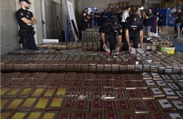 Cảnh sát Tây Ban Nha thu giữ 7,5 tấn cocaine giấu trong cá ngừ đông lạnh