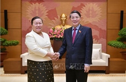 Phó Chủ tịch Quốc hội Nguyễn Đức Hải tiếp Đoàn đại biểu HĐND Thủ đô Vientiane, Lào