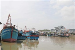 Ngăn chặn tàu cá và ngư dân đánh bắt hải sản trái phép