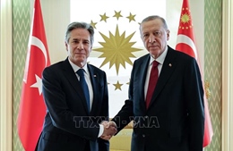 Ngoại trưởng Mỹ hối thúc Thổ Nhĩ Kỳ nhanh phê chuẩn việc NATO kết nạp Thụy Điển