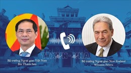 Thúc đẩy hợp tác Việt Nam - New Zealand