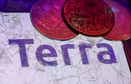Công ty tiền kỹ thuật số Terraform Labs nộp đơn xin bảo hộ phá sản ở Mỹ