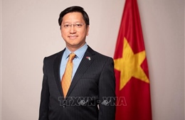 Đại sứ Nguyễn Thanh Hải: Việt Nam và Ấn Độ còn nhiều tiềm năng hợp tác