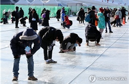 Rộn ràng mùa lễ hội câu cá hồi trên băng ở Hàn Quốc