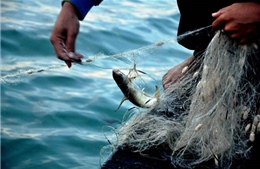 Làm rõ nguyên nhân người đàn ông tử vong khi đi thả lưới đánh cá