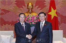 Chủ tịch Quốc hội Vương Đình Huệ tiếp Phó Chủ tịch Quốc hội Lào Chaleun Yiapaoher