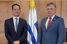 Đẩy mạnh quan hệ hợp tác toàn diện Việt Nam - Uruguay